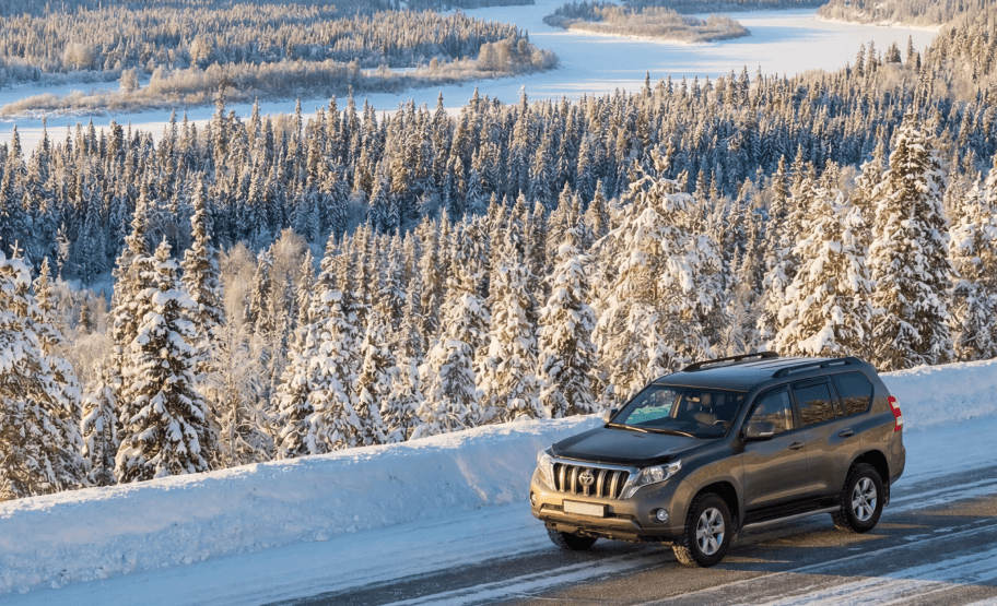 Помогут в организации поездки